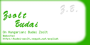 zsolt budai business card